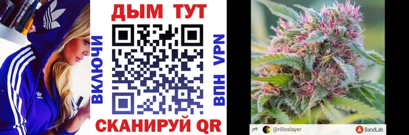 Каннабис SATIVA & INDICA где купить наркоту площадка Telegram Рудня
